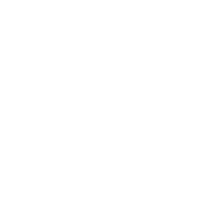 Icon Tip